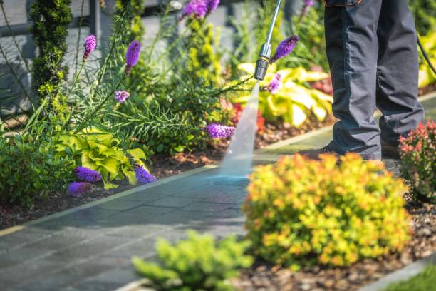 St James, NY Pressure Washing Services Company